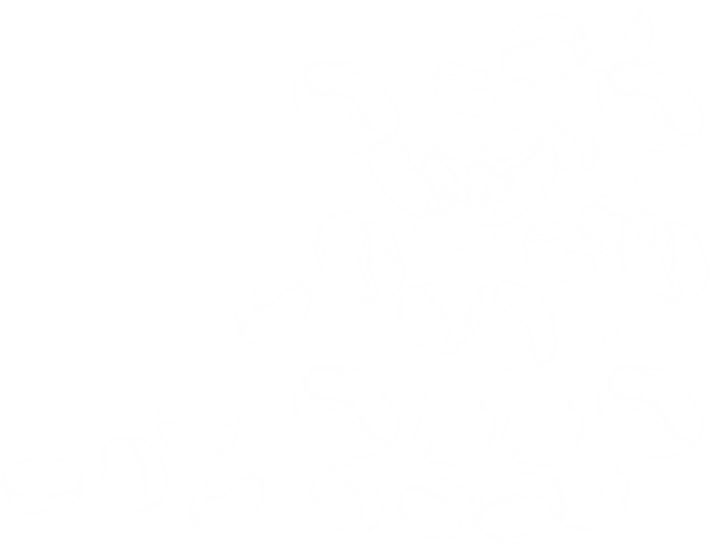 ímagen 2 granos de café22